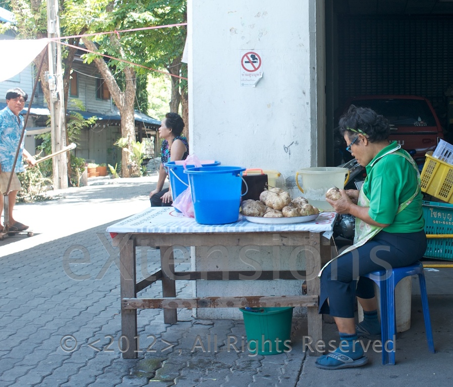 Thonburi side