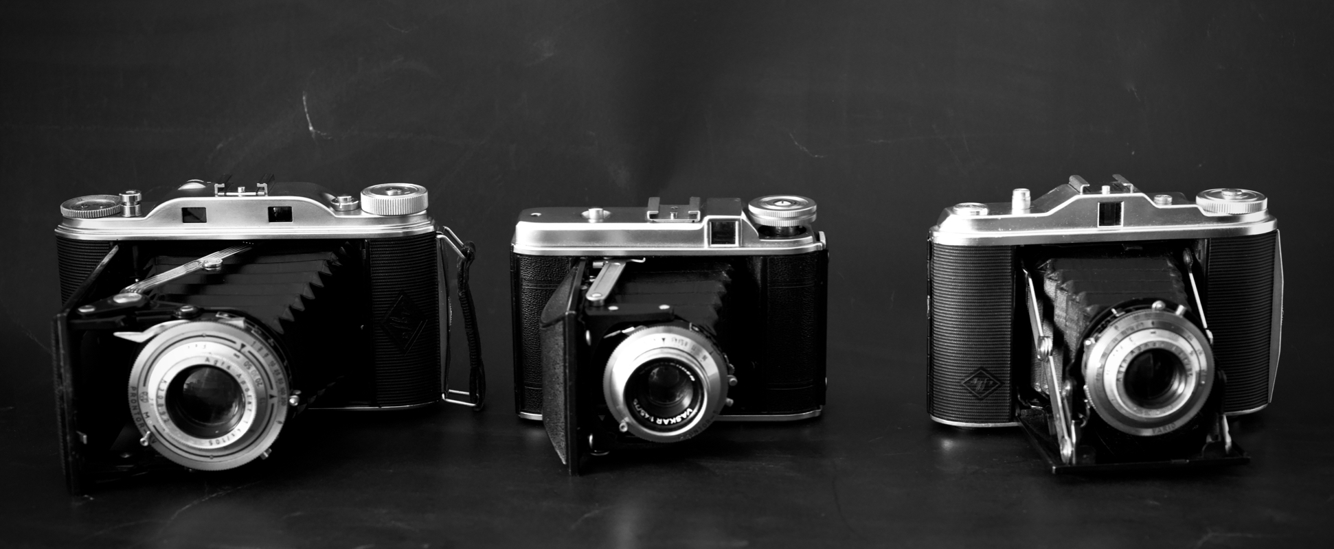 Bellows cameras
