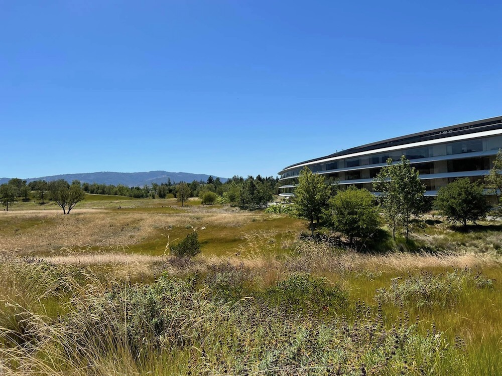 Apple Campus