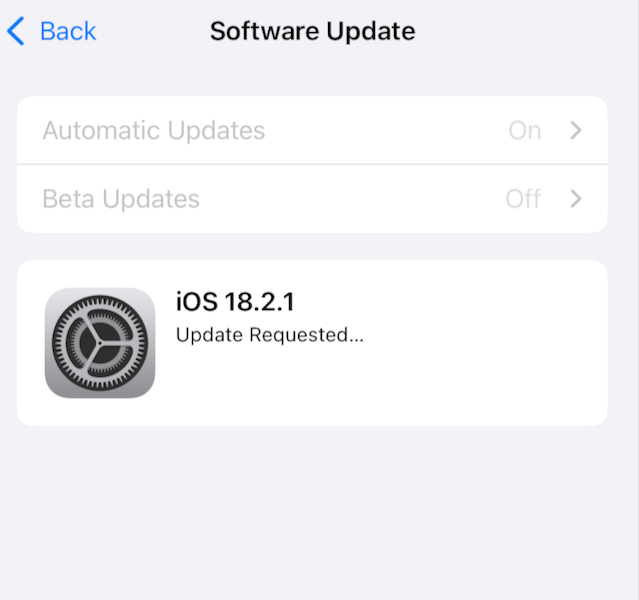 iPad mini OS update