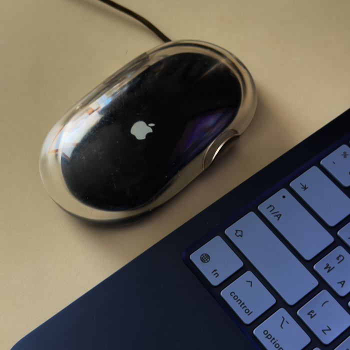 mouse