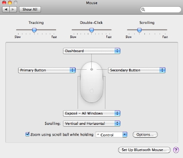 Magic Mouse Preferences