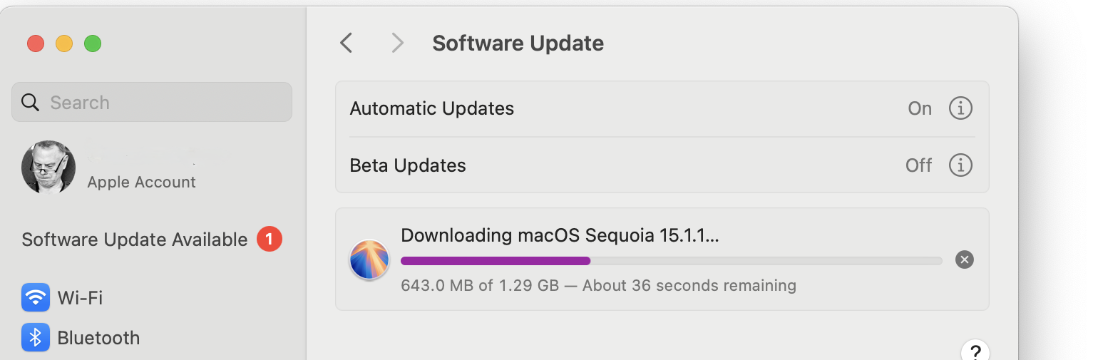 macOS 15.1.1 update