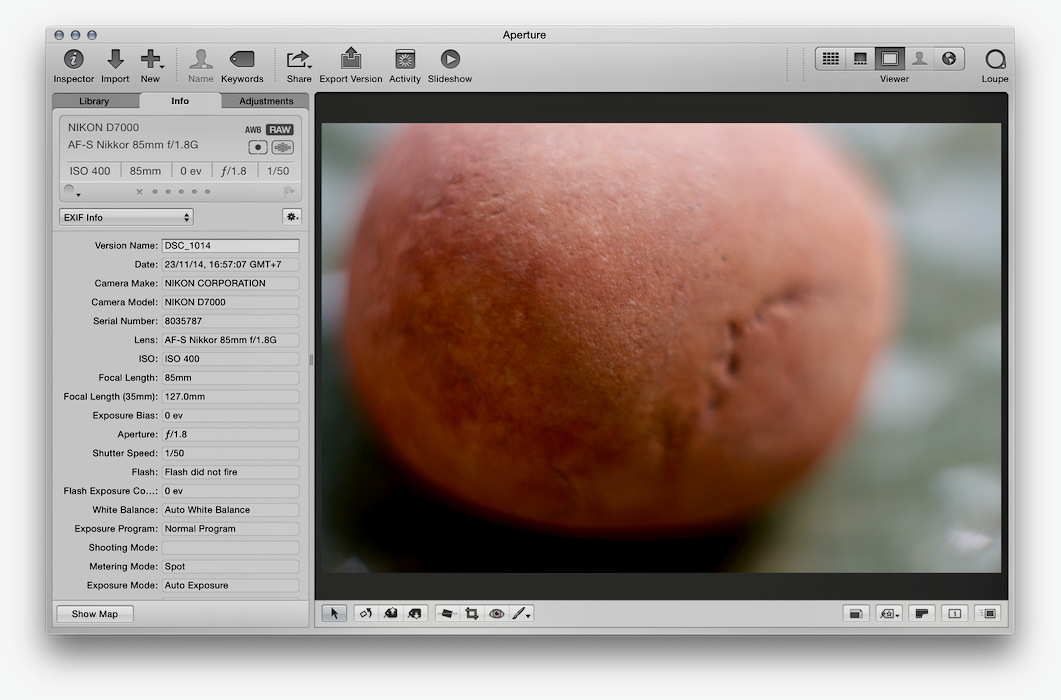 Editing in Aperture - screen shot