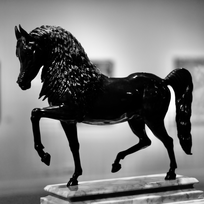 horse