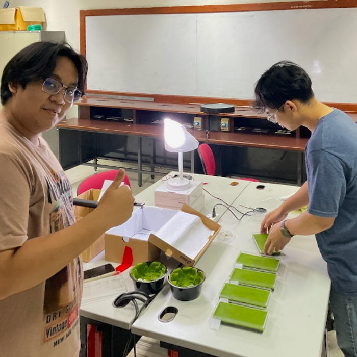 Wolffia weight project students