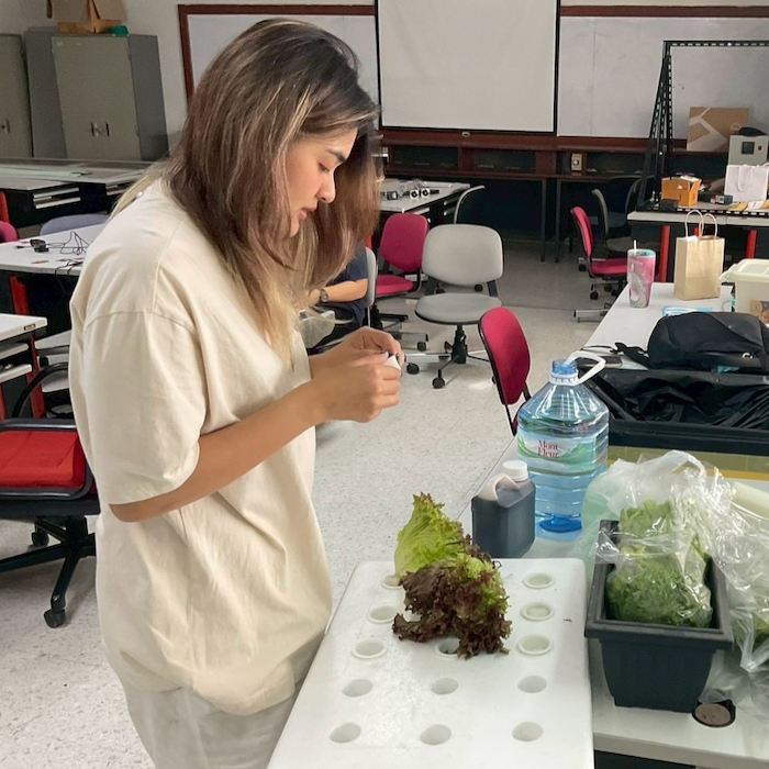 Wolffia nutrient project students
